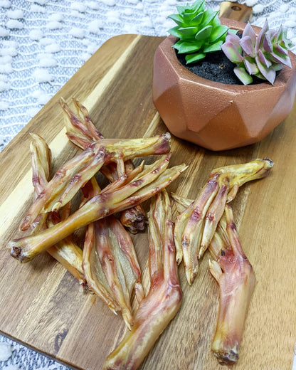 Duck Feet (ABF) - Doot's Pet LLC Collars For A Cause