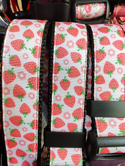 Strawberry Flowers Black Nylon Dog Collar MD, LG, XL, Leash - Doot's Pet LLC Collars For A Cause