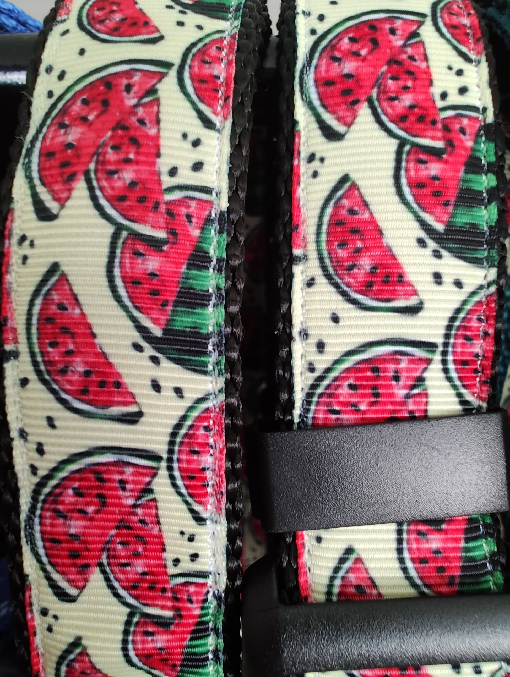 Watermelon Black Nylon Dog Collar MD, LG, XL, Leash - Doot's Pet LLC Collars For A Cause