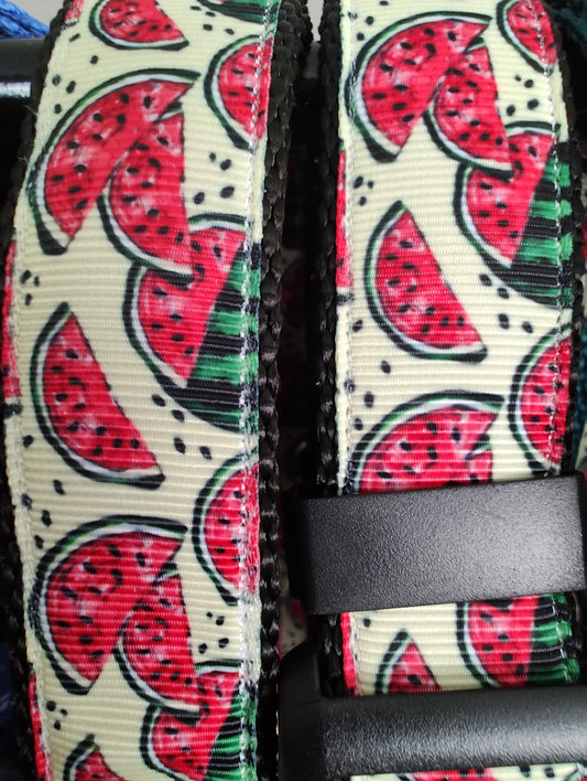 Watermelon Black Nylon Dog Collar MD, LG, XL, Leash - Doot's Pet LLC Collars For A Cause