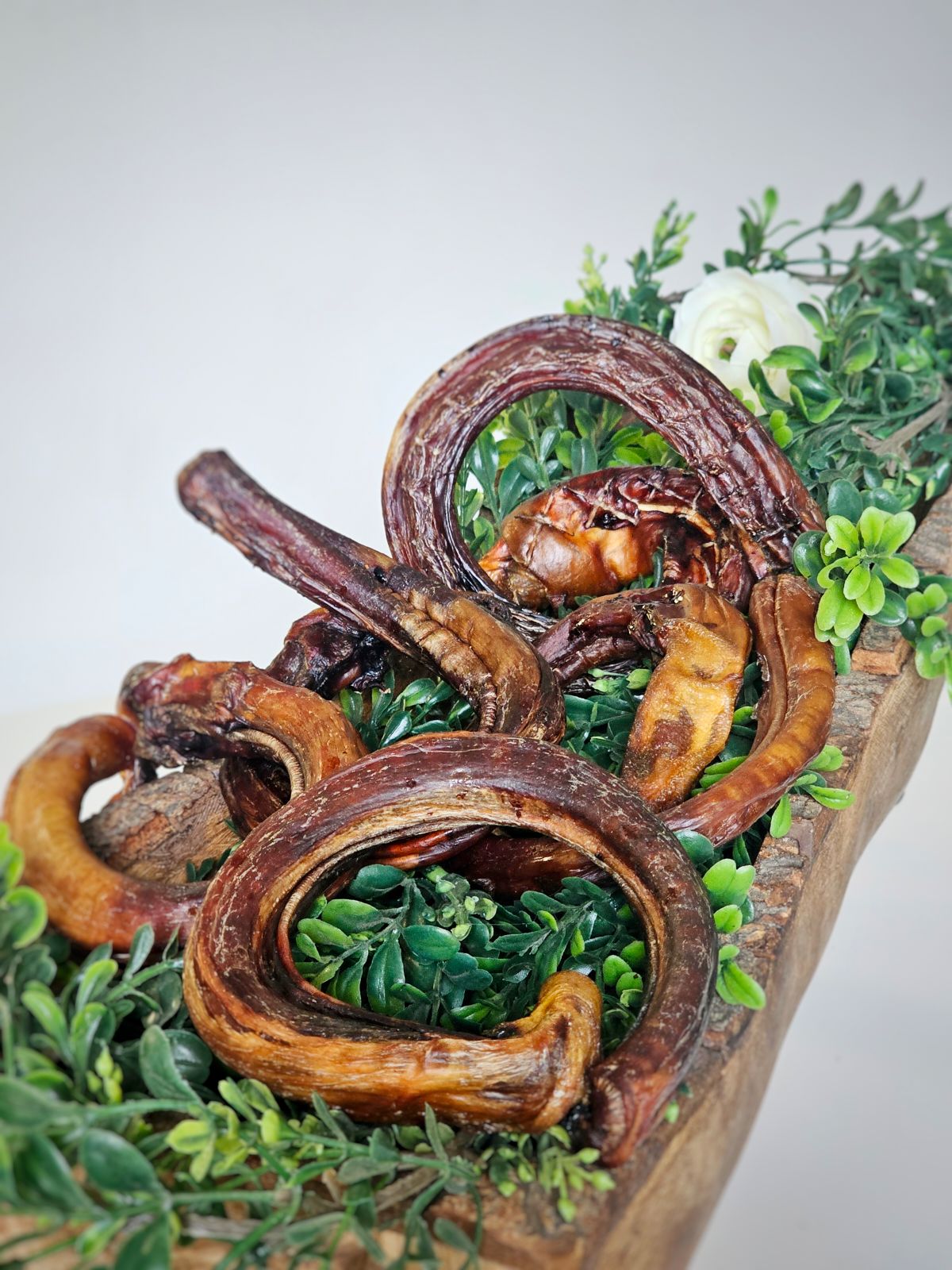 Beef Pizzle (Sticks, Loops, Short, - Doot's Pet LLC Collars For A Cause