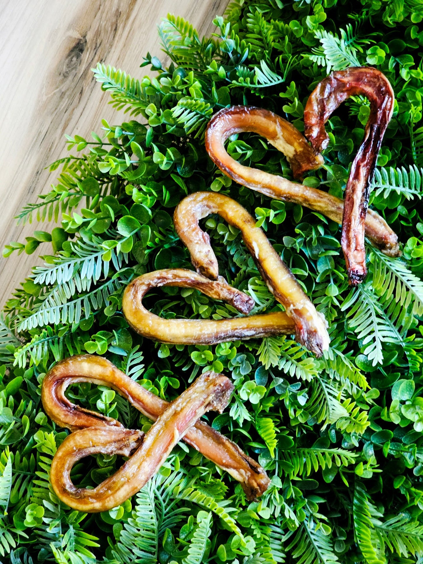 Beef Pizzle (Sticks, Loops, Short, - Doot's Pet LLC Collars For A Cause