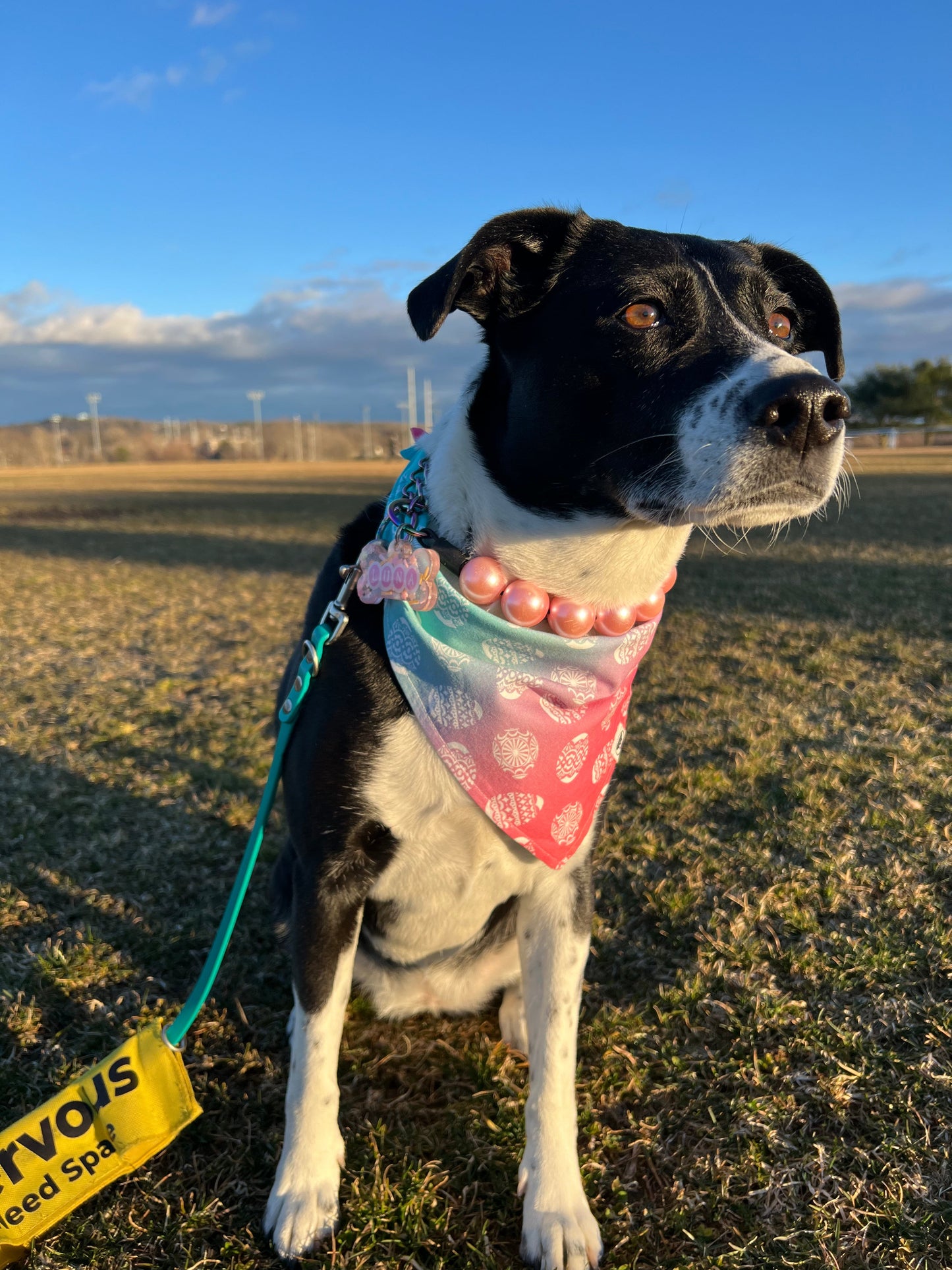 Ombre Easter Eggs Bandana