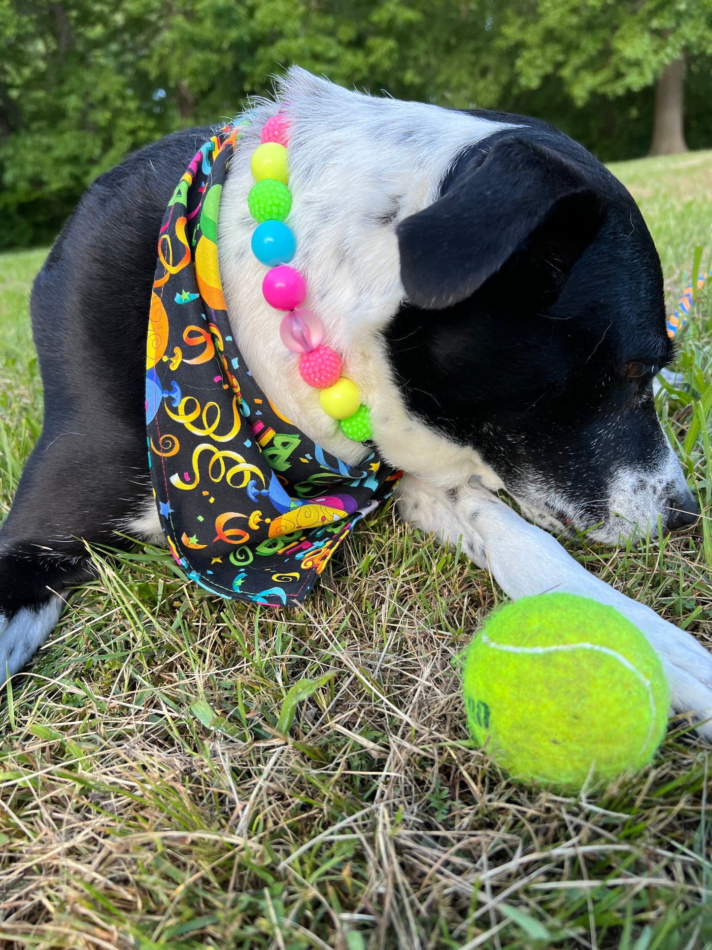 Happy Birthday Bandana