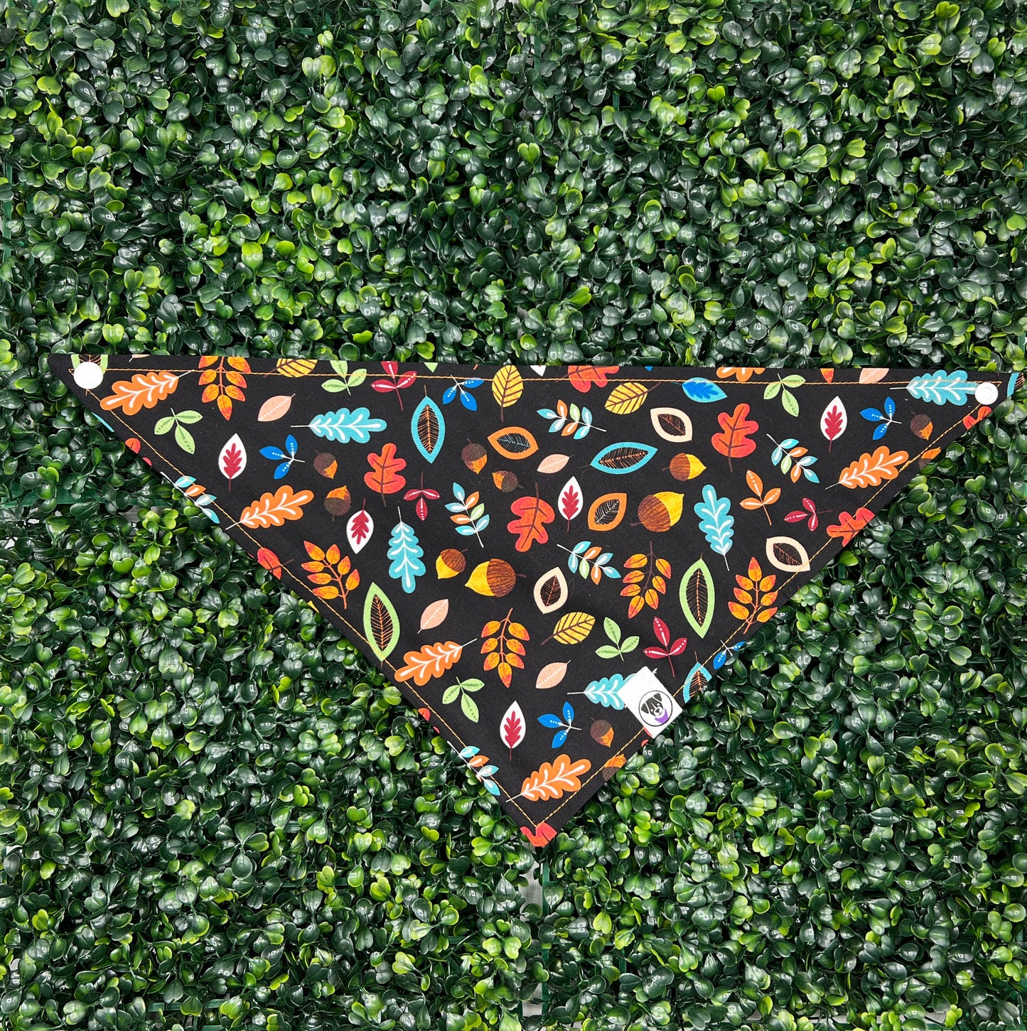 Autumn Acorns Bandana