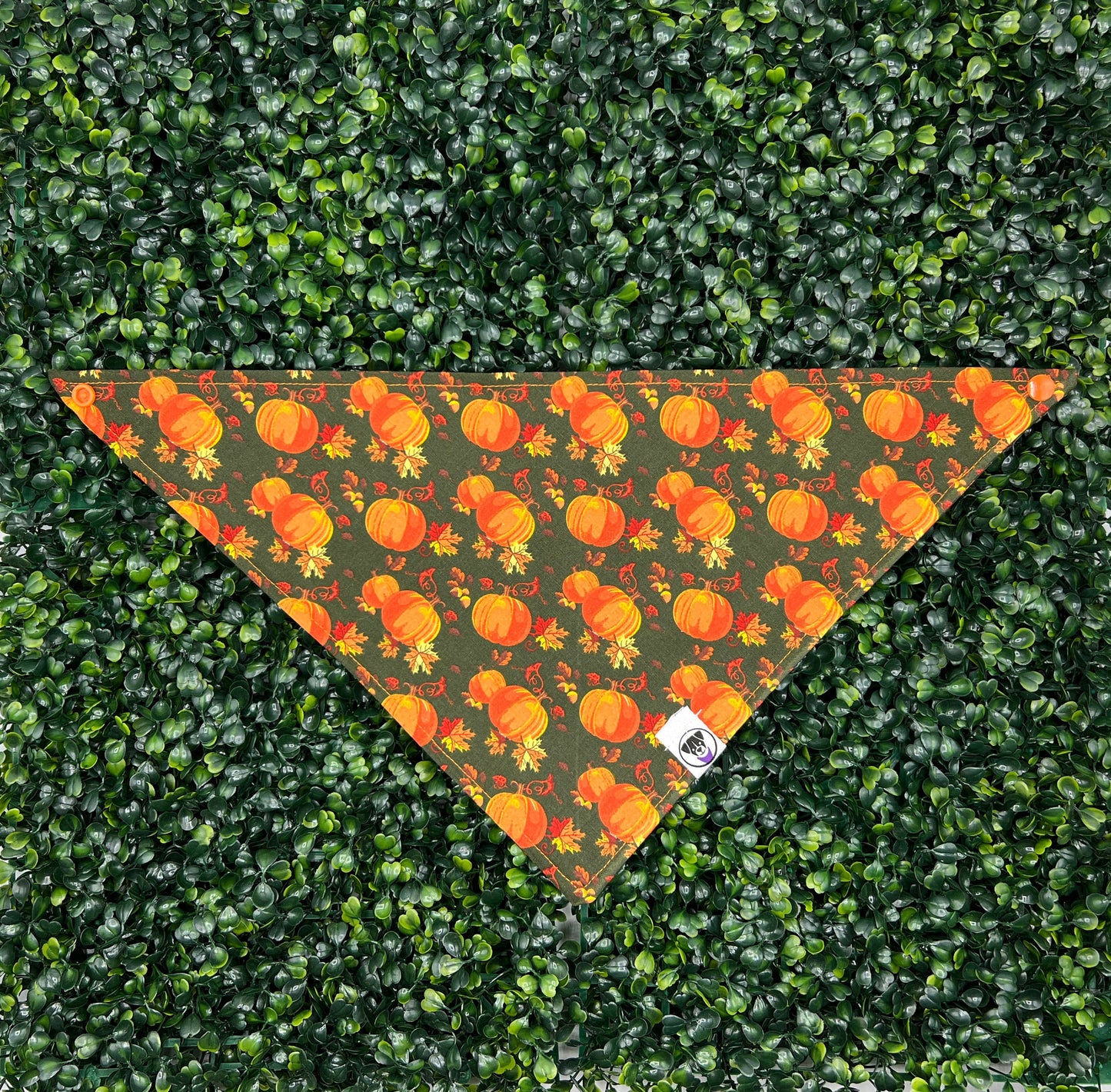 Pumpkin Patch Bandana