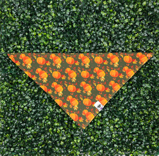 Pumpkin Patch Bandana