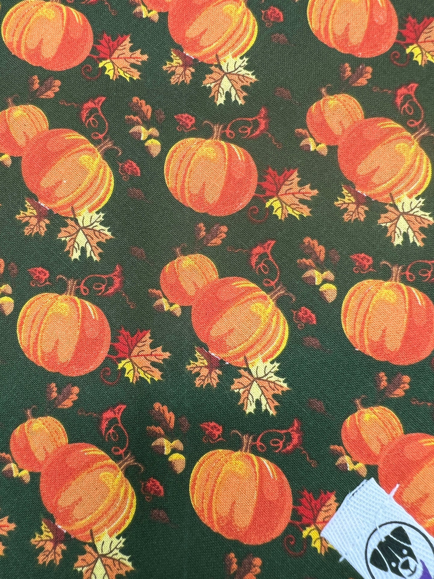Pumpkin Patch Bandana