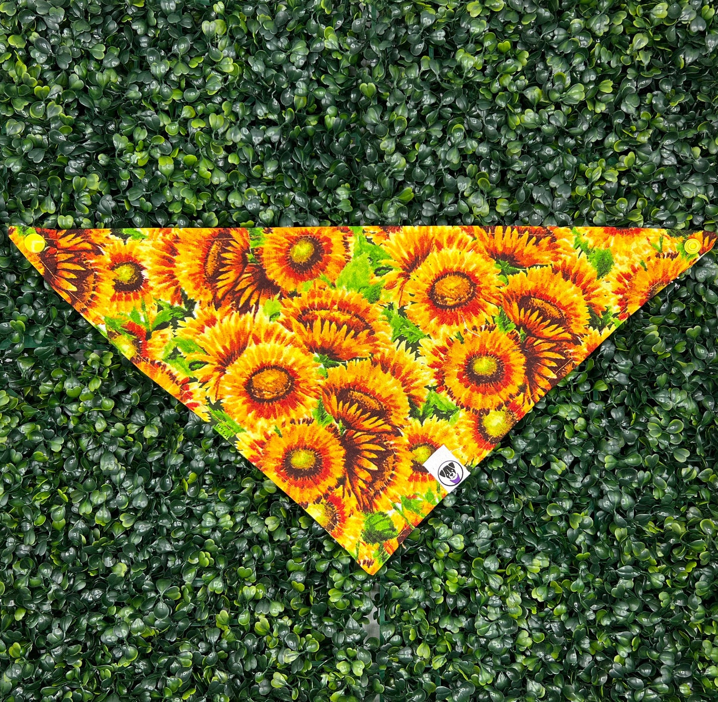 Burst of Sunflowers Bandana