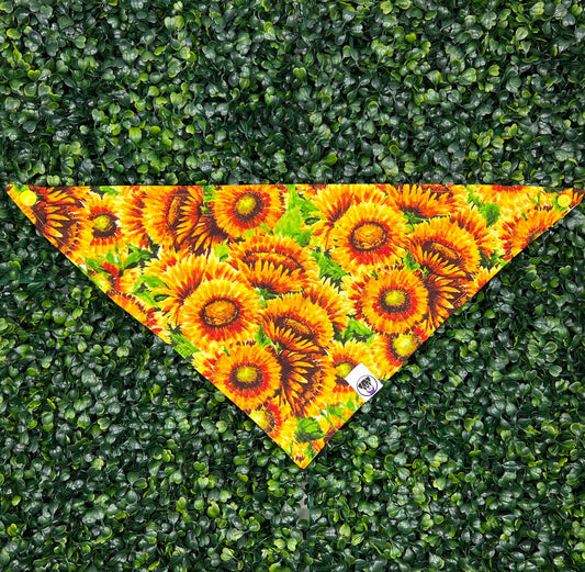 Burst of Sunflowers Bandana