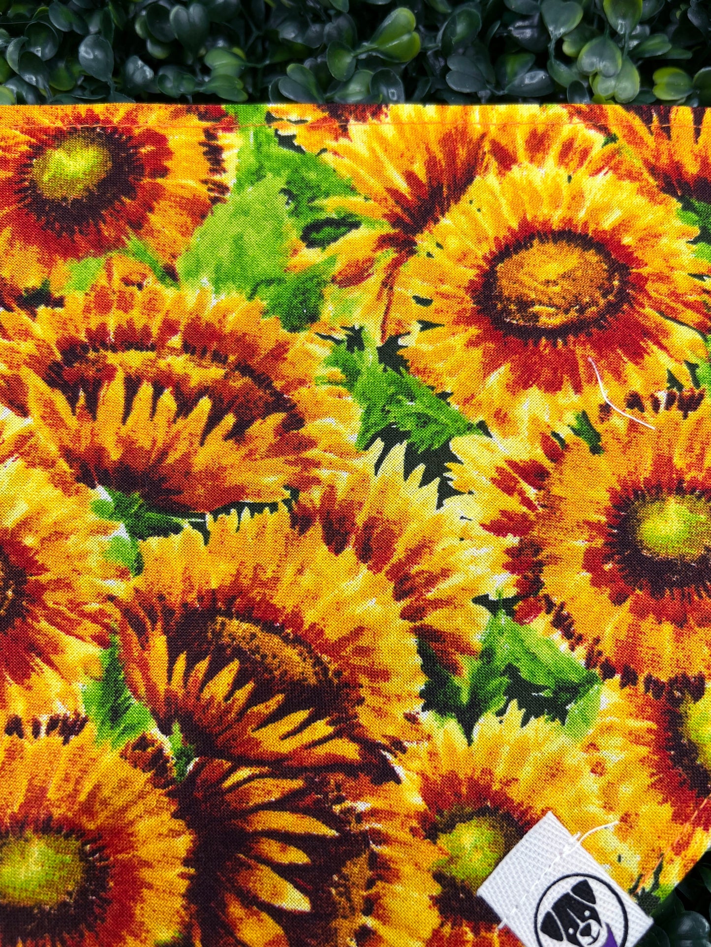 Burst of Sunflowers Bandana
