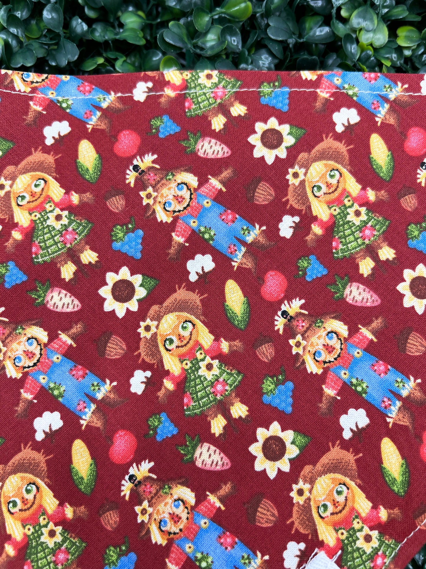 Scarecrow Friends  Bandana