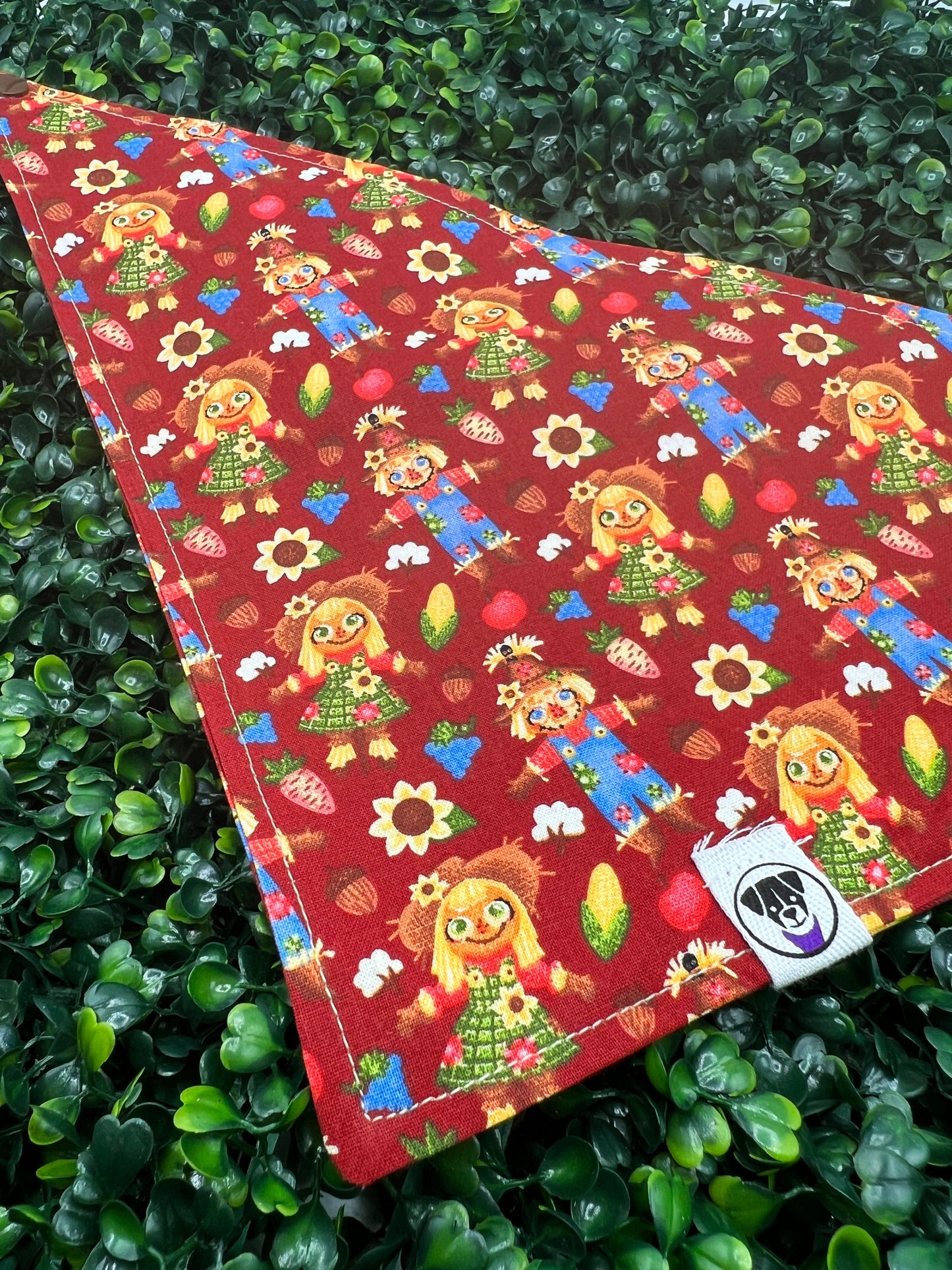 Scarecrow Friends  Bandana