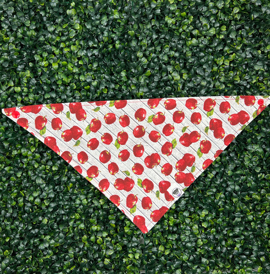 Apples To Apples Bandana