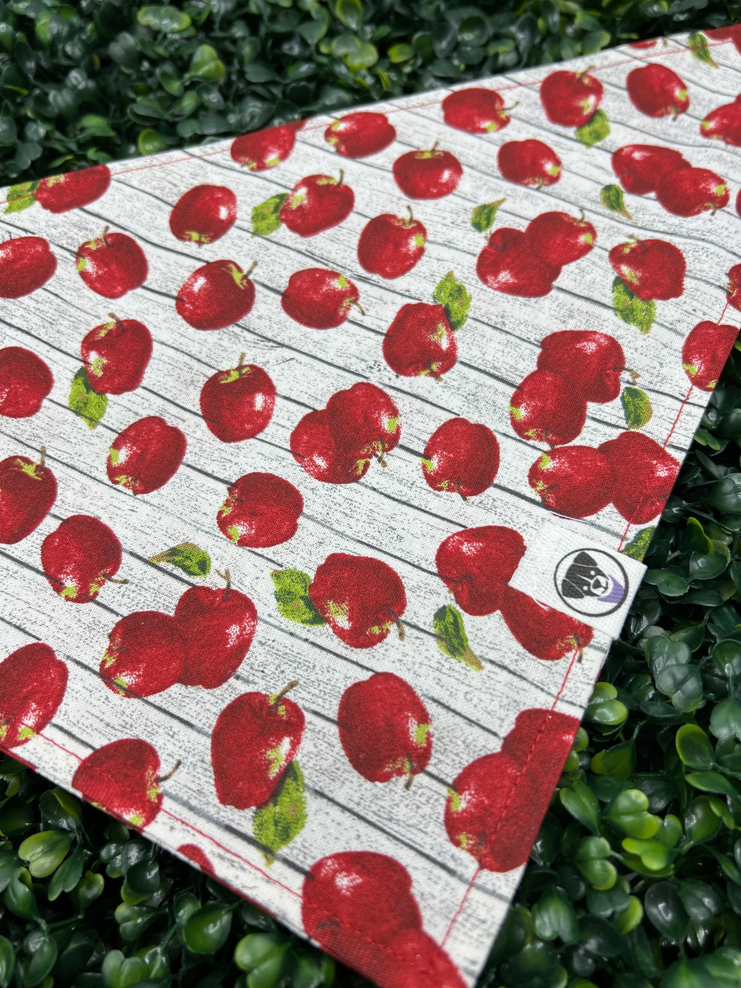 Apples To Apples Bandana