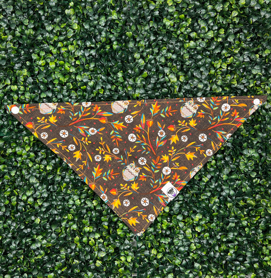 Wise Owl Bandana