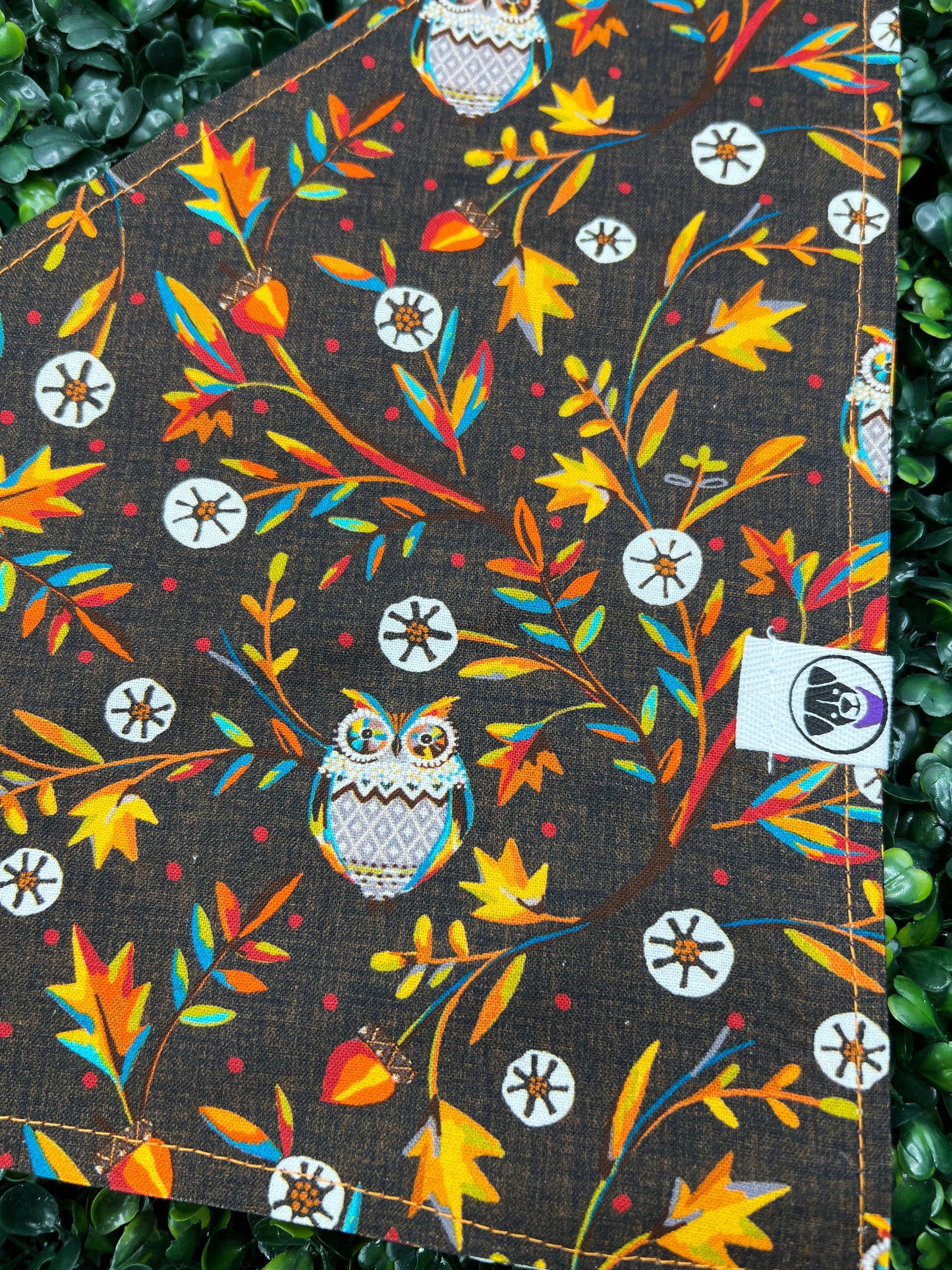 Wise Owl Bandana