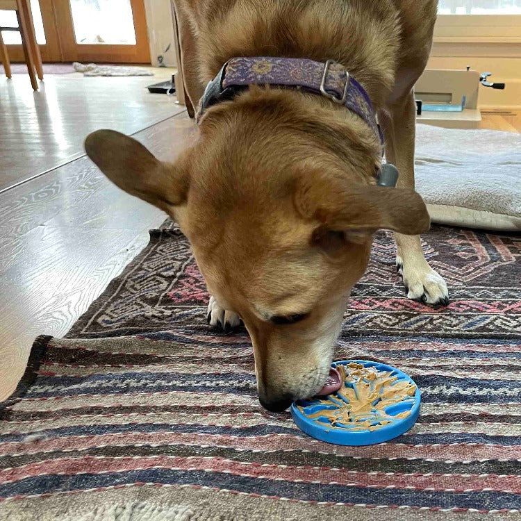 Air Nylon eCoin Lick Mat for Dogs - Durable Enrichment Toy | SodaPup - Doot's Pet LLC Collars For A Cause