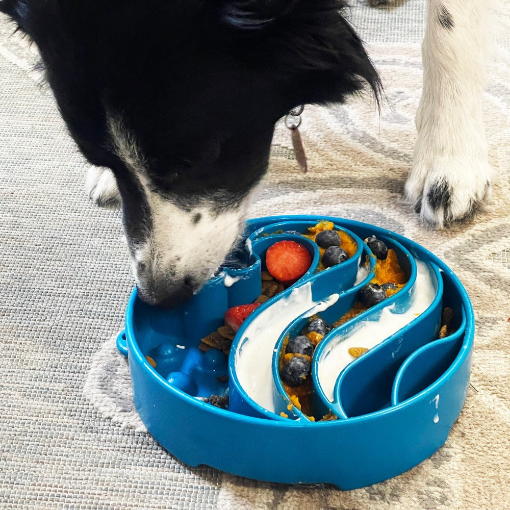 Wave eBowl Deep Slow Feeder Dog Bowl for Enrichment | Made in USA - Doot's Pet LLC Collars For A Cause