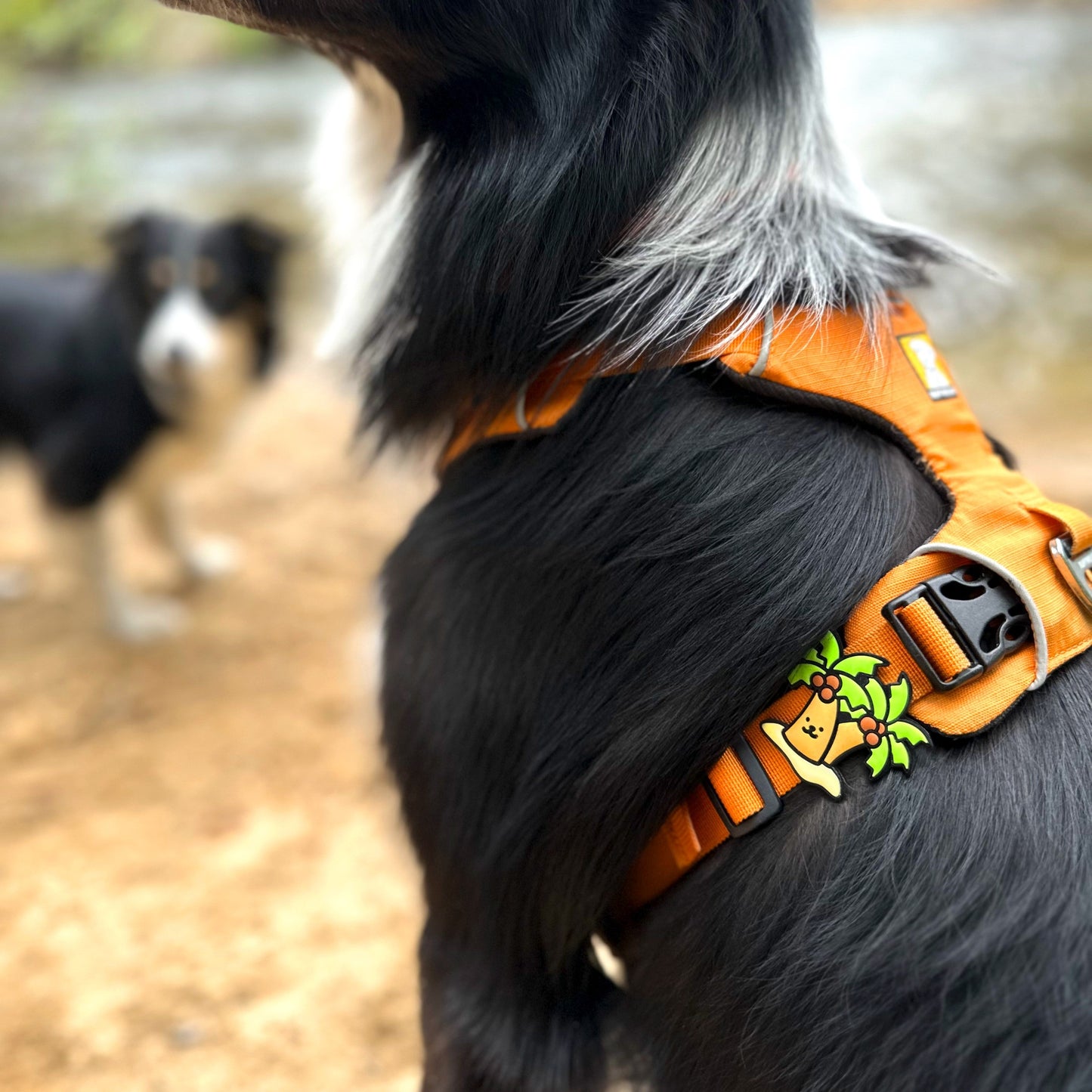 Palm Tree Jiby Dog Charm