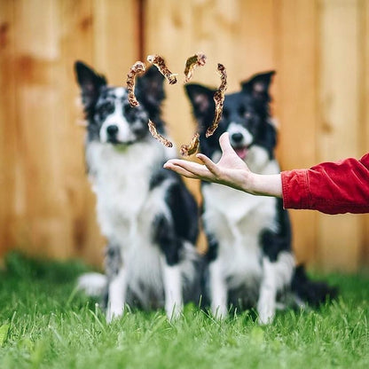 Chicken Necks - Doot's Pet LLC Collars For A Cause