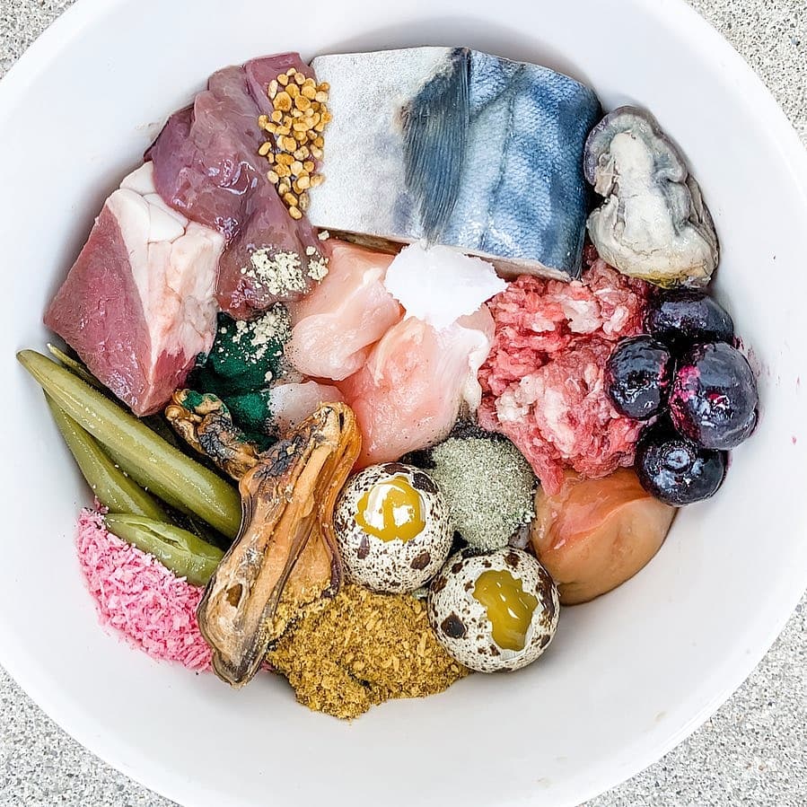 Green Lipped Mussels - Doot's Pet LLC Collars For A Cause