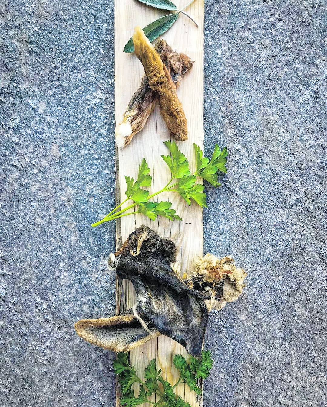 Lamb Ears (Furry & Non Fur) - Doot's Pet LLC Collars For A Cause