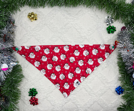 Santa! I know him!! Bandana