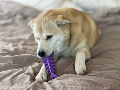 Fish Bone Nylon Dog Toy for Aggressive Chewers | USA Made | SodaPup - Doot's Pet LLC Collars For A Cause