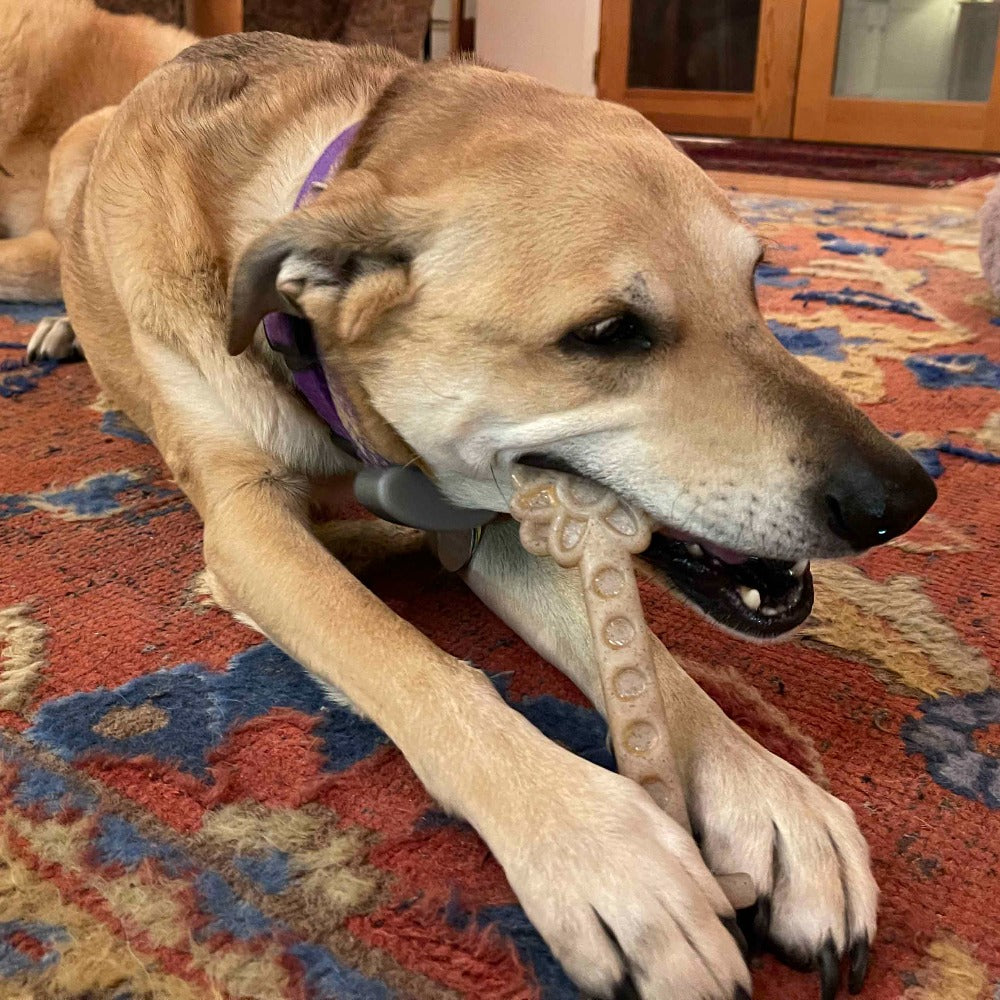 Flower Tower Nylon Chew Toy for Aggressive Chewers - USA Made Enrichment Toy - Doot's Pet LLC Collars For A Cause