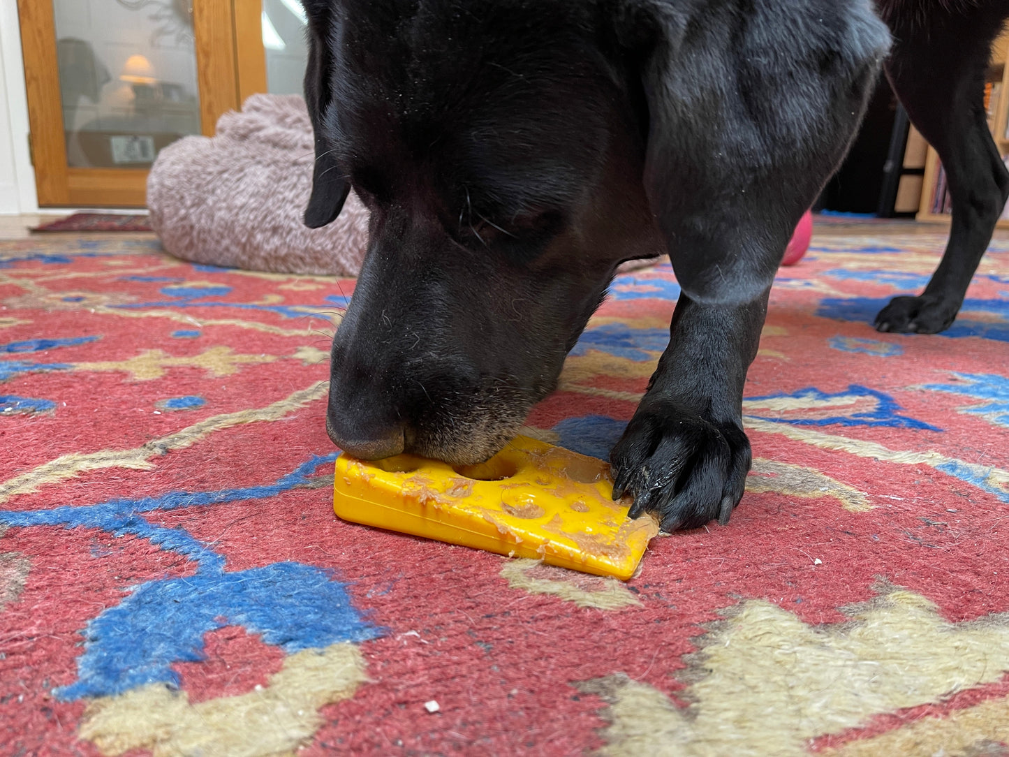 Swiss Cheese Wedge Nylon Dog Chew Toy for Aggressive Chewers | SodaPup - Doot's Pet LLC Collars For A Cause