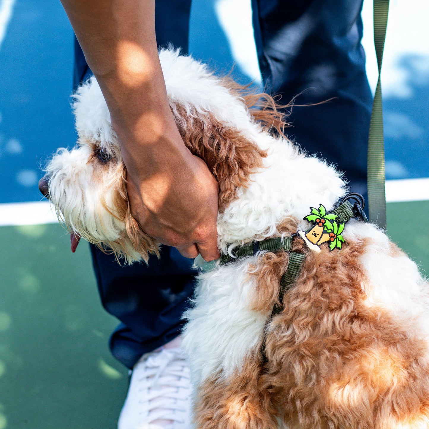 Palm Tree Jiby Dog Charm