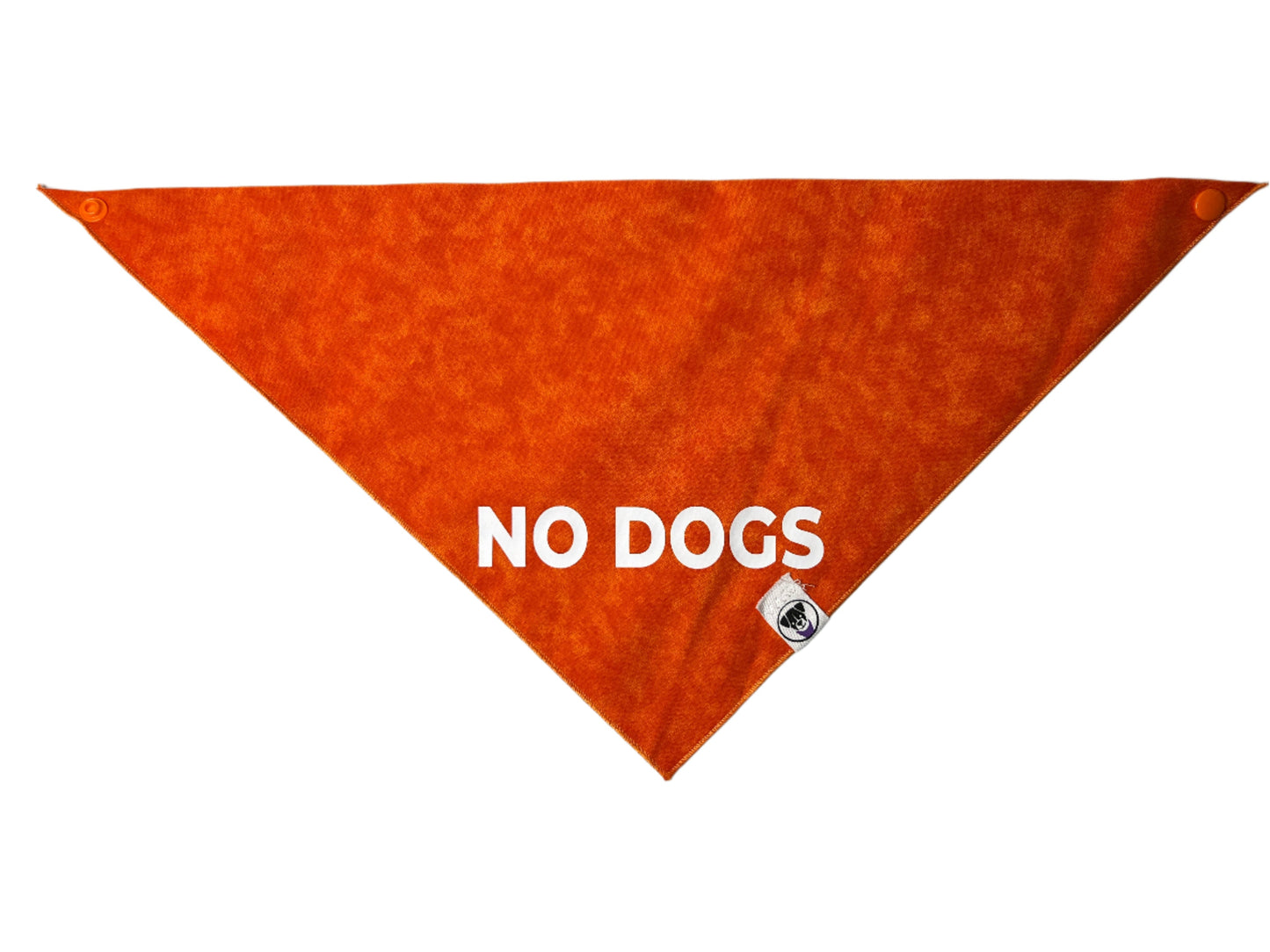 No Dogs Bandana