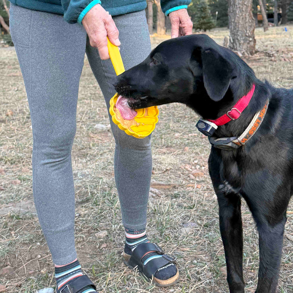 eStick Hand-Held Dog Enrichment Toy - Interactive Lick Stick | USA Made - Doot's Pet LLC Collars For A Cause
