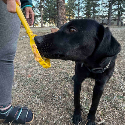 eStick Hand-Held Dog Enrichment Toy - Interactive Lick Stick | USA Made - Doot's Pet LLC Collars For A Cause