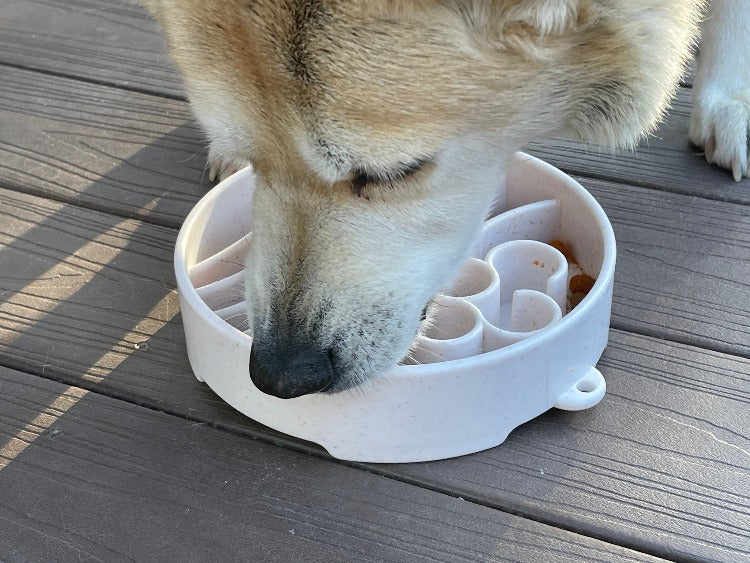Java eBowl Deep Slow Feeder Dog Bowl for Enrichment | USA Made - Doot's Pet LLC Collars For A Cause