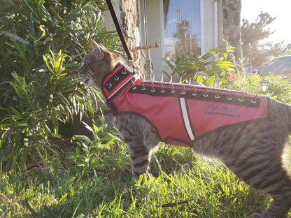 SpikeVest for Cats - Doot's Pet LLC Collars For A Cause