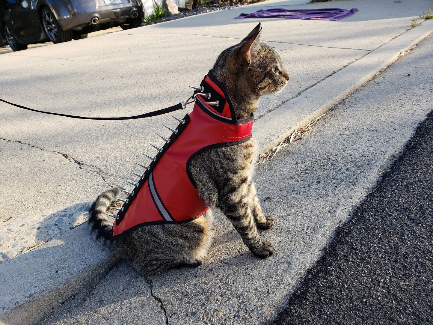 SpikeVest for Cats - Doot's Pet LLC Collars For A Cause