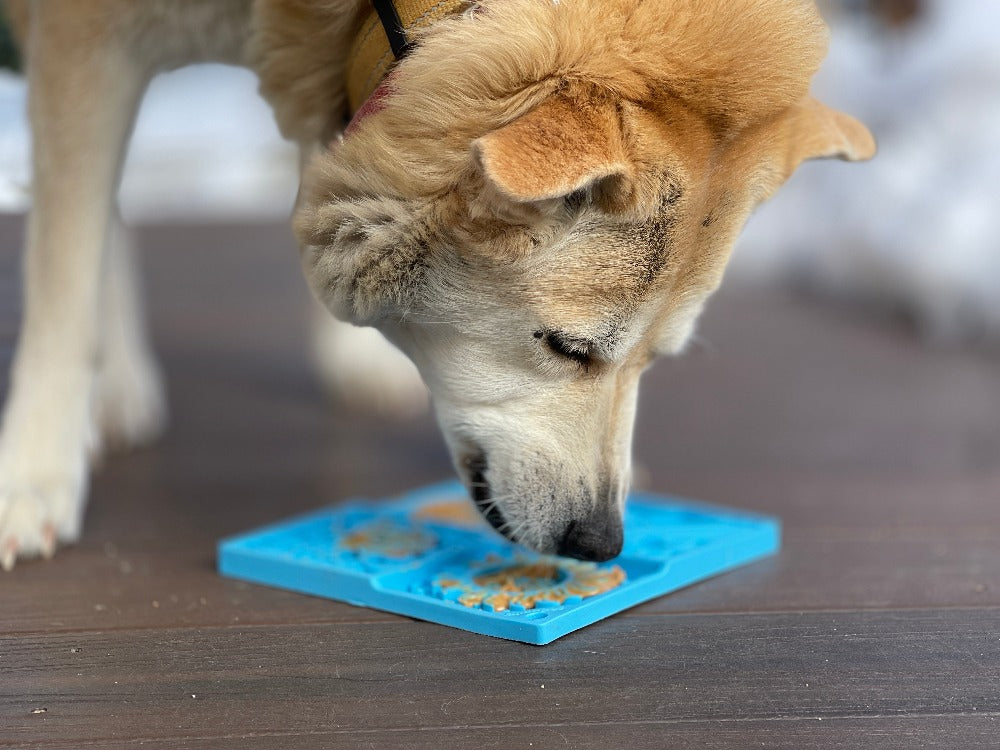 Sky eMat - Enrichment Lick Mat for Dogs and Cats | Celestial Design | SodaPup - Doot's Pet LLC Collars For A Cause