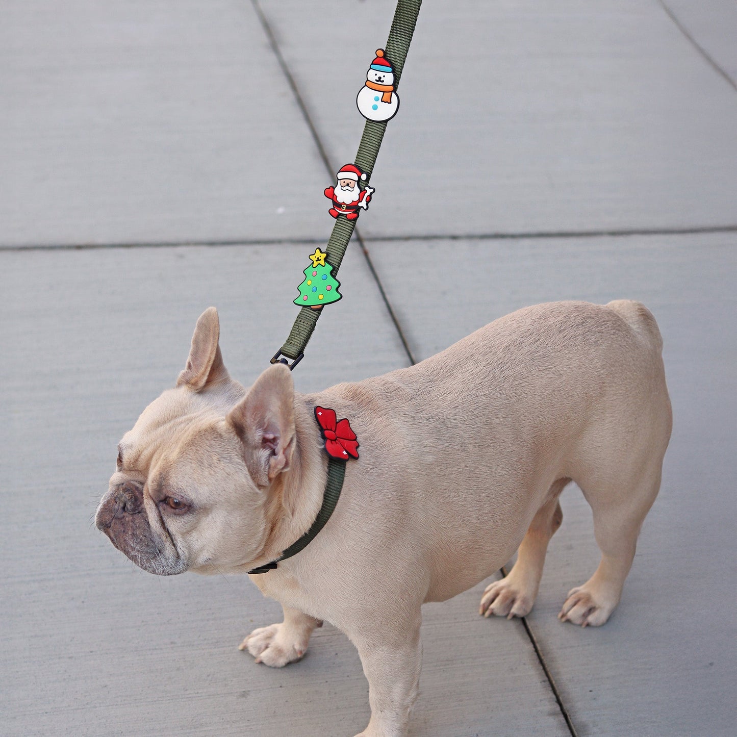 Christmas Tree Jiby Dog Charm