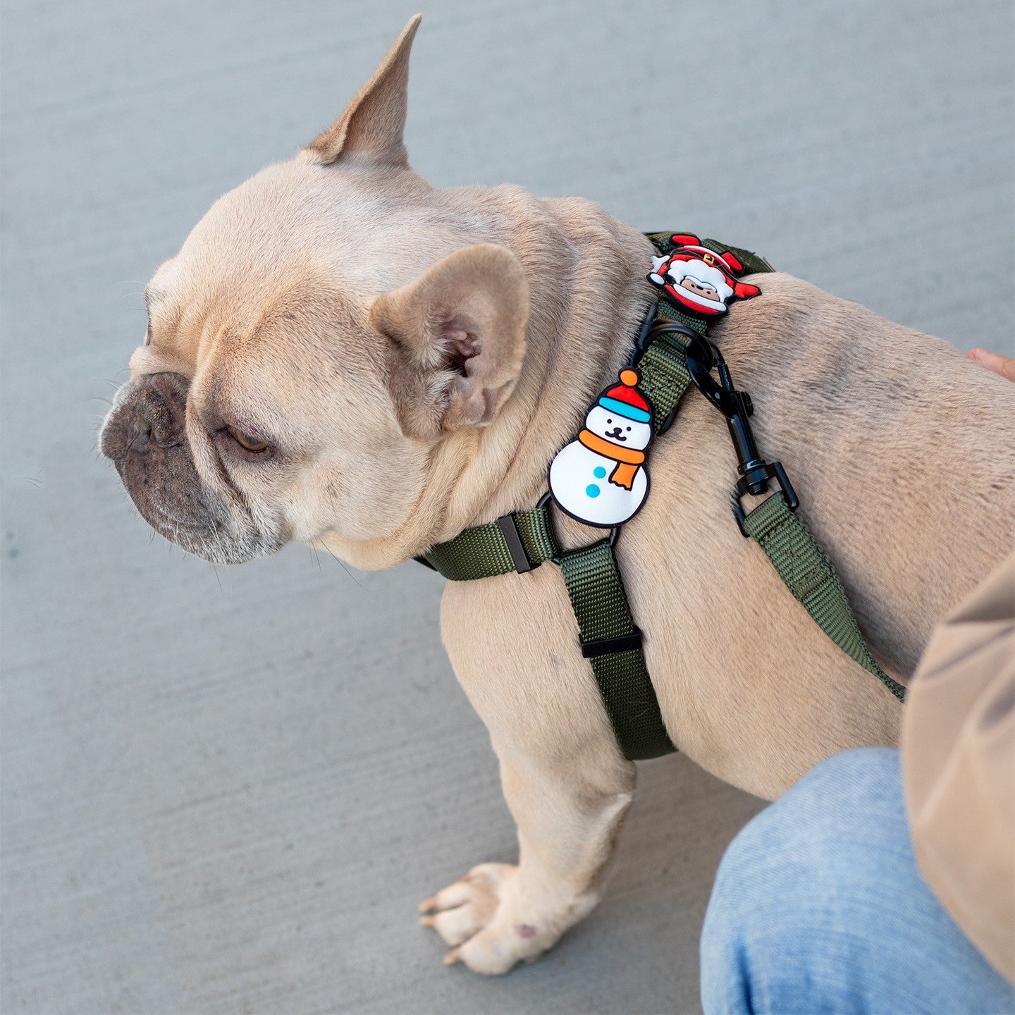 Snowman Jiby Dog Charm