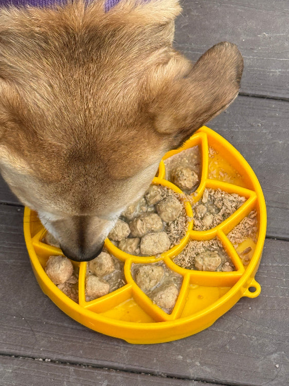 Sunflower eTray Shallow Slow Feeder Dog Bowl for Enrichment | USA Made - Doot's Pet LLC Collars For A Cause