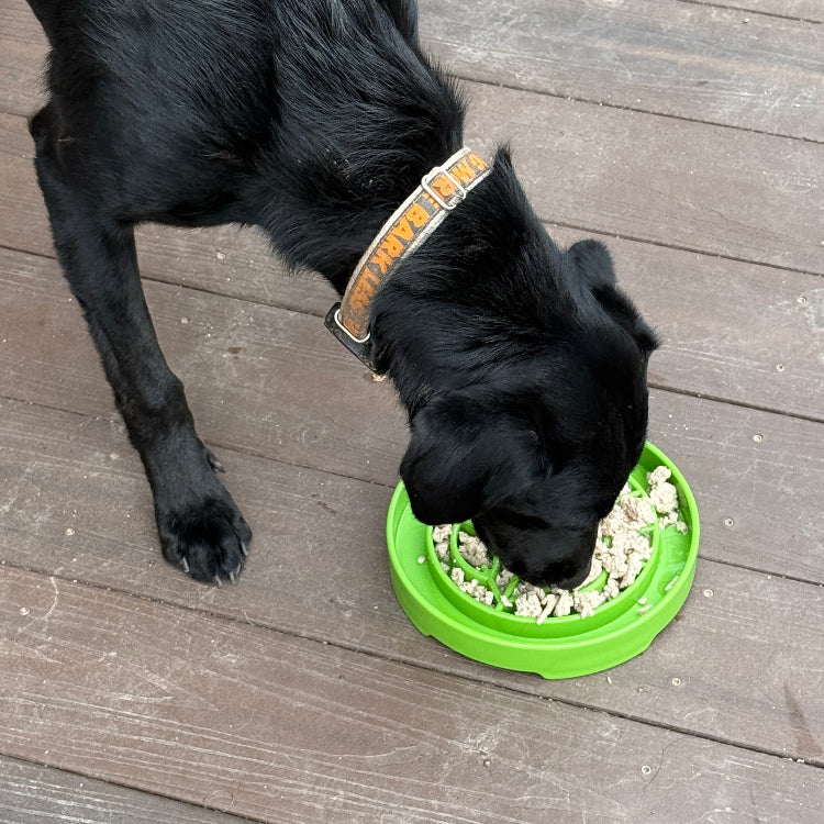 Garden Design eTray - Shallow Slow Feeder Dog Bowl for Enrichment | USA - Doot's Pet LLC Collars For A Cause