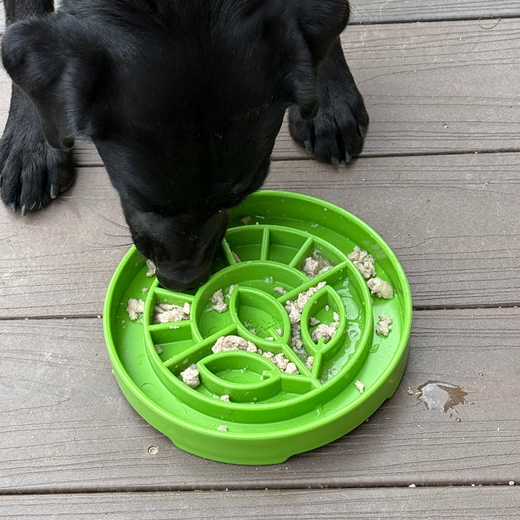 Garden Design eTray - Shallow Slow Feeder Dog Bowl for Enrichment | USA - Doot's Pet LLC Collars For A Cause