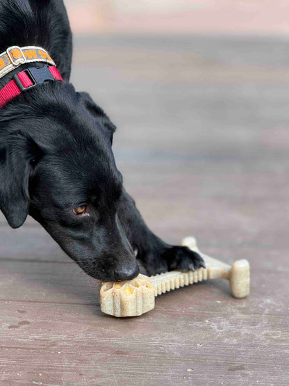 Honey Bone Dental Flower Tower - Indestructible Nylon Dog Chew Toy XL | USA - Doot's Pet LLC Collars For A Cause