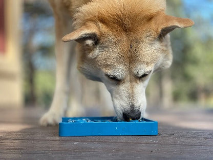 Waiting Dogs eTray - Shallow Slow Feeder Bowl for Enrichment | USA Made - Doot's Pet LLC Collars For A Cause