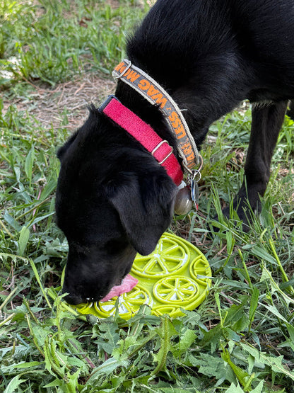 Citrus Design eMat - Enrichment Lick Mat For Dogs and Cats - with Suction Cups | USA Made - Doot's Pet LLC Collars For A Cause