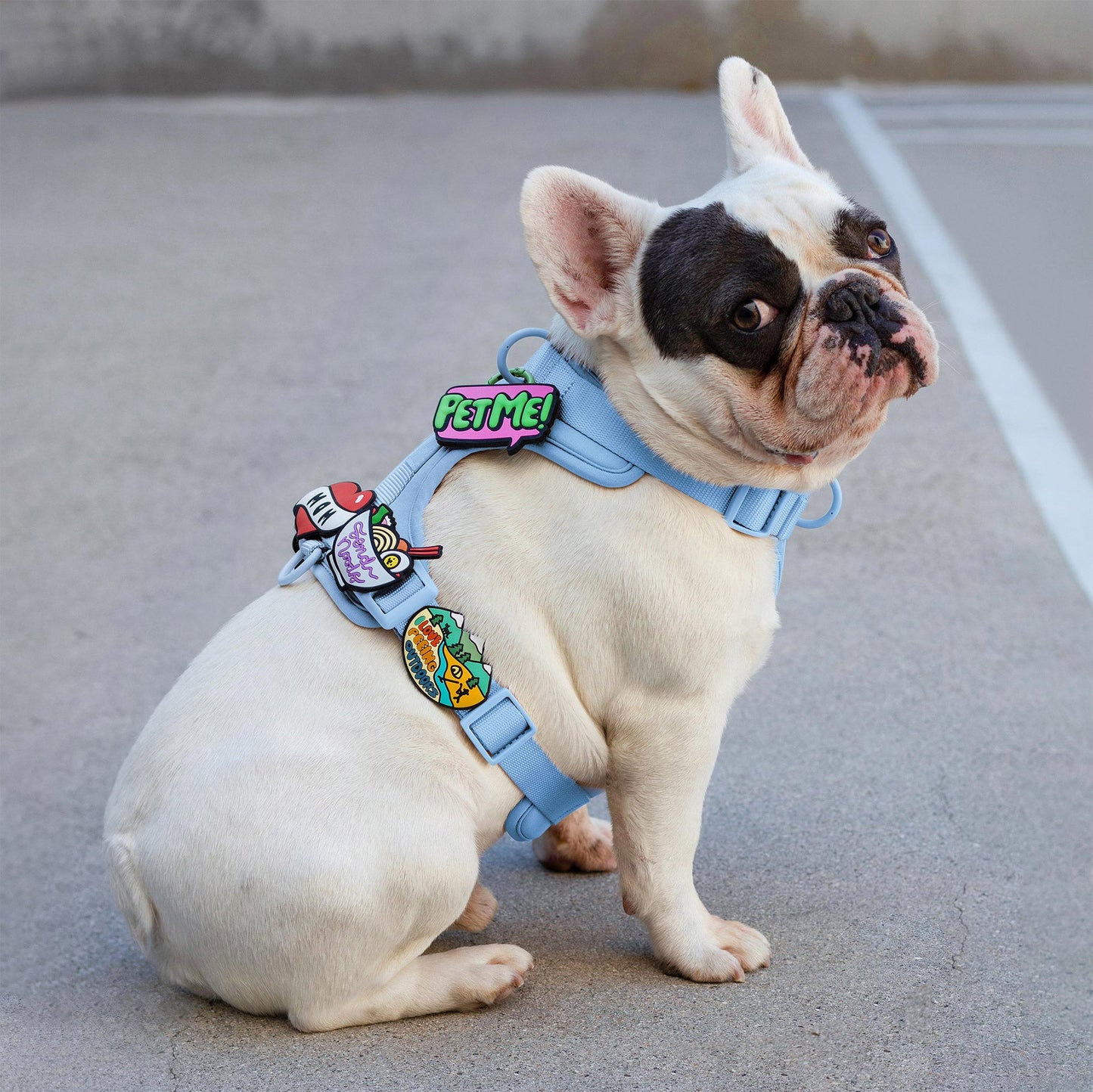 Pet Me Jiby Dog Charm
