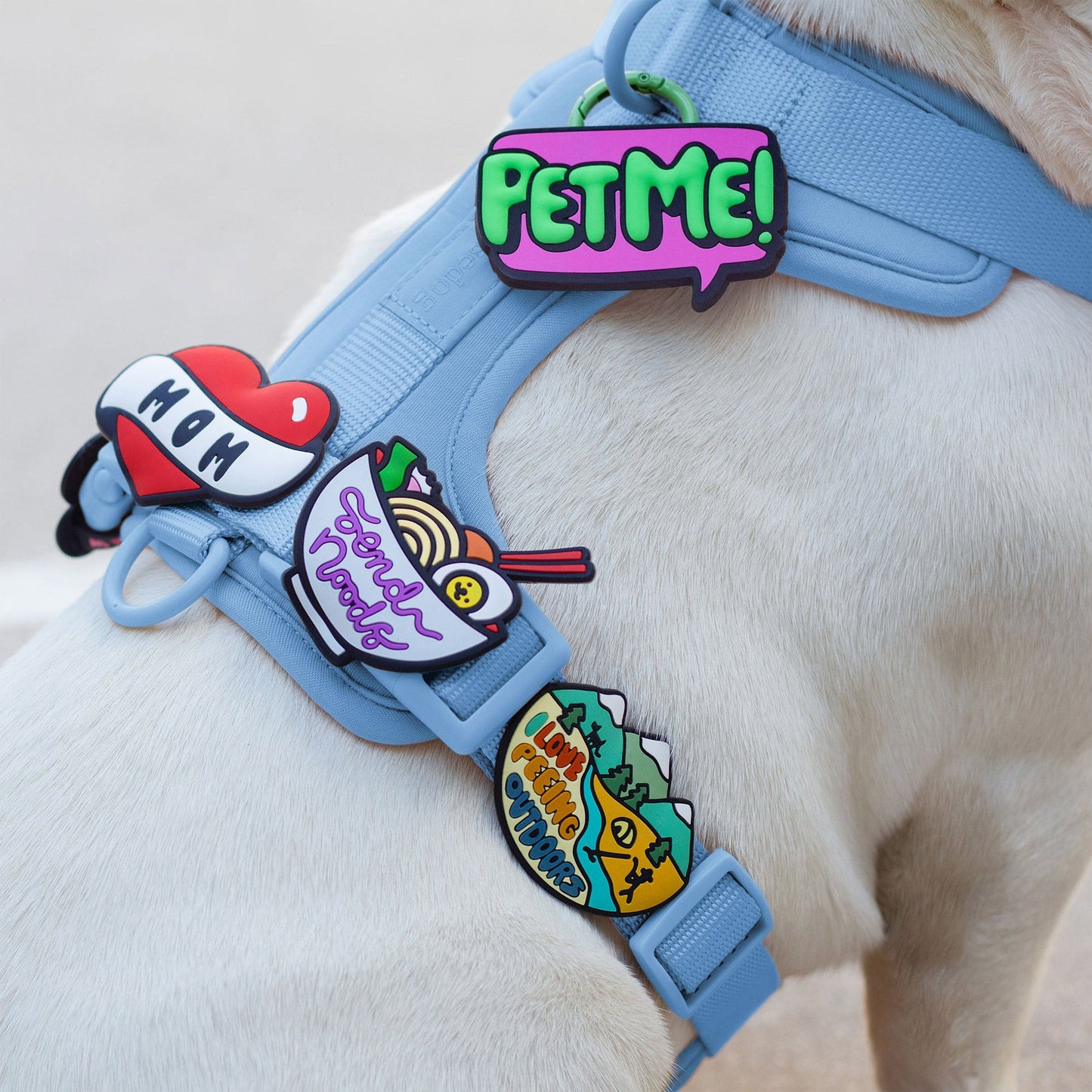 Pet Me Jiby Dog Charm