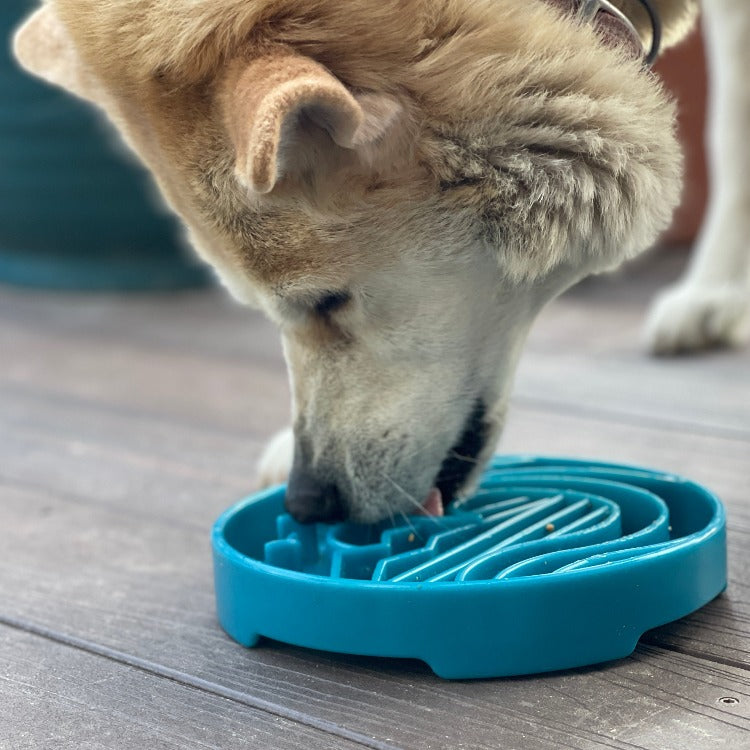 Baja Design eTray - Shallow Slow Feeder Dog Bowl for Enrichment | USA Made - Doot's Pet LLC Collars For A Cause